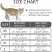 Cat Dishes with Leash - Outbreak-Proof Cat Leash & Dishes Set | Reflective Breathable Harness for Kittens (M Gray) - Buy Online on GoSupps.com