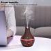 300ml USB Face Humidifier Stylish Shape Aroma Humidifier Face Hydration Atomization Sprayer for Home Spa - Buy Online on GoSupps.com