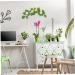 HOMSFOU 4 Pcs Simulation Lemon Pendant Dried Lemon Slices Decorative with Lemon Artificial Greenery Hanging Lemon Garland Flower Decor Leaves Room Decor Wall Hanging Fruit Plastic Yellowx2pcs 38x10cmx2pcs - Buy Online on GoSupps.com