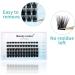 D Curl Cluster Lashes 0.07mm 8-16mm Mixed DIY Lash Extensions - Soft and Wispy Reusable Eyelash Clusters (FD-D18-0.07-D8-16) - Buy Online on GoSupps.com