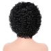 Velicoo 10 Short Kinky Curly Brazilian Human Hair Wig for Black Women - Natural Color - Buy Online on GoSupps.com