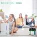 MitFlor Premium Mint Fragrance Oils Set - 6x10ml for Diffuser, Soap & Candle Making | Refreshing Home Fragrance & Aromatherapy Oil Gift Set - Buy Online on GoSupps.com