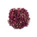 Laraska Bud Rose and Lavender Package (5 COLORS) - Buy Online on GoSupps.com