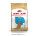 Royal Canin Poodle Junior Puppy Food 3 Kg - Buy Online on GoSupps.com