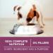 Purina ONE +Plus Dry Puppy Food with Lamb - 1.81 kg Bag 1.81 kg (Pack of 1) Dog Food - Buy Online on GoSupps.com