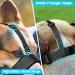 Heele Adjustable Dog Muzzle with Headband - No Rubbing Bite Prevention for Large Dogs XL (1 Pack) - Black - Buy Online on GoSupps.com