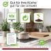 Biohy Glaskeramik Hob Cleaner 250ml | Scratch-Free High Gloss Ceranfeldreiniger for Kitchen | Biodegradable | Essential Scraper Supplement - Buy Online on GoSupps.com