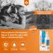 Clorexyderm 4% Antiseptic Spray for Dogs & Cats - 200 ml | Antibacterial & Antifungal Itchy Skin Relief - Buy Online on GoSupps.com