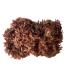 Red Sea Moss Dried Seaweed Salad Seaweed 200g