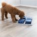 Shop Trixie Dog Toy Poker Box - Interactive Intelligence Game for Dogs | Level 2 Activity Strategy | 31x31cm | International Shipping Available - Buy Online on GoSupps.com