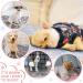 NAMALU 4 Waterproof Guinea Pig Fleece Ceiling & Small Dog Blanket - Sweet Star Pattern 30 x 30 cm | Reusable Cage Inserts & Cuddly Sleep Pads - Buy Online on GoSupps.com