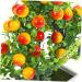 COOPHYA home decor green decor fake flowers Fake Green Plant Potted Fake Fruit Trees Desktop Adornment Simulated Fruit Tree Fruit Tree Decor Faux Bonsai office fake bonsai artificial Foam As Shown 24X20CM - Buy Online on GoSupps.com
