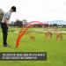 GoSports Chipster Golf Chipping Pop Up Practice Net - Improve Your Short Game with Chipster Range - Buy Online on GoSupps.com