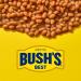 Bush's Best Baked Beans Original 28 Oz - Buy Online on GoSupps.com