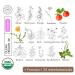 ORGANIC28+. 100% Organic Multipurpose Healing Ointment 39 Botanicals USA MADE. Chamomile Nettle Calendula Sea Buckthorn Helichrysum +. Skin Repair. Rescue Balm. Organic Ointment. 1.7 Fl. Oz - Buy Online on GoSupps.com