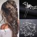 Bridal Wedding Hair Accessories Long Pearl and Crystal Beads Hair Vine Wedding Headband 2 PCS of Crystal Rhinestone Hair Pins 1 Pack Jewelry Hair Headpiece for Brides Bridesmaids Women Girls (Silver)