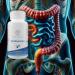 Apple Fiber Gut Support - Improve Digestion & Boost Gut Health | Shop Internationally - Buy Online on GoSupps.com