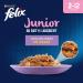 Buy FELIX As Good As It Looks Junior Kitten Food - Wet in Jelly Variety Mix - Pack of 6 (12 x 85g Bags) | Premium International Shipping - Buy Online on GoSupps.com