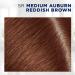 Clairol Root Touch-Up 5R Medium Auburn/Reddish Brown - 1.1 Fl Oz (Pack of 1) - Buy Online on GoSupps.com