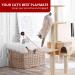 PetSavvyy Cat Laser Toy Automatic Portable Interactive Toy for Indoor Cats - Auto ON/OFF with Timer 3 Modes + 5 Angle Adjustable Height Silent Motor USB Powered/Batteries - Buy Online on GoSupps.com