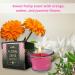 Floral Scented Beeswax Body Massage Candle Set - Low Heat Oil Warmer & Skin Safe Moisturizer - 3 x 0.7 oz | Hot Flowers - Buy Online on GoSupps.com