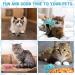 Apricitie 6-Pack Catnip Plush Toys for Cats | Soft Kitten Catnip Toys | Best Cat Toys for Playtime - Buy Online on GoSupps.com