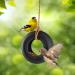 Fred Swing Time Ceramic Bird Feeder - Stylish and Durable Feeding Solution - Buy Online on GoSupps.com