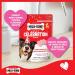 Milk-Bone Celebration Biscuits Treats for Dogs Pupcake Flavoured Biscuits Pack of 4 x 300g - Buy Online on GoSupps.com