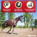 EGGERSMANN My Horse Feed Professional Electrolyte 1kg - Essential Supplement for Equine Nutrition & Hydration During Intensive Training - Buy Online on GoSupps.com