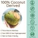 Full Spectrum MCT Oil C8 C10 & C12 | Unflavored | Non-GMO Coconuts | 32 fl oz (63 Servings) - Buy Online on GoSupps.com