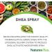 Nature's Plus DHEA Spray - Wild Berry 2 fl oz | Best Instaceutic Delivery System - Buy Online on GoSupps.com
