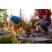 Ruffwear Quencher Bowl - Fired Brick | Small Travel Pet Bowl for Dogs - Durable Lightweight & Portable - Buy Online on GoSupps.com