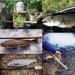 Maximumcatch Tenkara Rod Combo 11FT | Complete Fly Fishing Outfit with Cords & Accessories - International Shipping - Buy Online on GoSupps.com