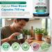TRUEMED 3-in-1 Fiber Supplement 750mg Organic Blend with Psyllium Husk Chia & Flax Seed Plant-Based Fiber Capsules for Digestive Health & Cardiovascular Wellness Made in USA 90 Count - Buy Online on GoSupps.com