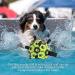 LOTUSWILD Durable Dog Toy Ball with Handle 15cm Ideal for Large Medium & Small Dogs Green | International Shipping Available - Buy Online on GoSupps.com