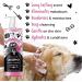 Bugalugs Baby Fresh Dog Shampoo - Vegan Pet Care 500ml | Best Puppy Shampoo & Conditioner for Schlehct Hide - Buy Online on GoSupps.com