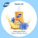 Dial Liquid Hand Soap with Marula Oil - 7.5 Fl Oz (Pack of 1) - Buy Online on GoSupps.com