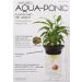 0.5 Gallon Penn-Plax Aquaponic Betta Fish Tank - Healthy Environment for Plants and Fish - Buy Online on GoSupps.com