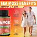 Organic Cadane Irish Sea Moss Extract Capsules - 9in1 with VitC VitD Bladderwrack Burdock Root Elderberry & More - Supports Immune System & Overall Health - 90Capsules - Buy Online on GoSupps.com
