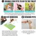 Go Here Spray for Dogs 30ml No Pee Spray for Dogs Puppy Supplies for Training Dogs Removing Stains and Odors Rianpesn - Buy Online on GoSupps.com