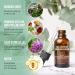 Collective Laboratories Activating Serum: Hair Growth Oil for Thinning Hair | Treats Scalp with Amino Acids, Minerals & Botanicals | 1 Month Supply - Buy Online on GoSupps.com