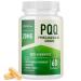 PQQ Supplement 20mg | Mitochondrial Biogenesis & Energy Optimizer With CoQ10 & Vitamin B12 | Supports Brain Health & Mitochondria Production | Ultra PQQ Formula | Vegan Gluten-Free | 60 Capsules