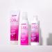 The Curl Company Soften and Shape Curl Lotion 250ml - De-frizzing & Smoothing for Curls & Waves | Curplex & Moringa Oil Formula - Buy Online on GoSupps.com