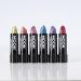 Holographic Glitter Lipstick Set by Moon Glitter - 6 Colors 5g Each | International Shipping Available - Buy Online on GoSupps.com