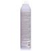 Hask Chia Seed Volumizing Dry Shampoo 6.5 Oz - Long-lasting Absorption - Buy Online on GoSupps.com