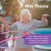 Healthspan Milk Thistle Complete (90 Tablets) | 50mg Milk Thistle Extract | with B Vitamins Calcium & Choline to Support Your Digestive Health & Liver Function | Vegan Friendly - Buy Online on GoSupps.com