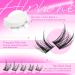 Buy Wispy Lash Clusters - 180 Pcs DIY Fluffy Eyelash Extensions for Natural Look - ALPHONSE A Manhua Eye - Buy Online on GoSupps.com
