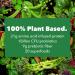 PlantFusion Complete Lean Plant Based Weight Loss Protein Powder | Supports Blood Sugar  Controls Appetite | Superfoods with Digestive Enzymes | Gluten Free  Vegan  Non-GMO  Chocolate Brownie  1.85 LB Chocolate Brownie 1 - Buy Online on GoSupps.com