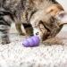 KONG - Kitty KONG Durable Natural Rubber Cat Toy- Fun to Stuff with Kibble or Treats Unpredictable Bounce Multi 8.89 x 2.54 x 13.97 cm(Pack of 1) - Buy Online on GoSupps.com
