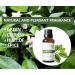 Petitgrain Essential Oil 1 oz - 100% Pure Therapeutic Grade for Aromatherapy & Relaxation - International Shipping Available - Buy Online on GoSupps.com